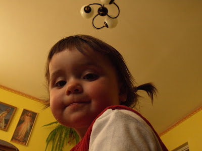 p4186446.jpg