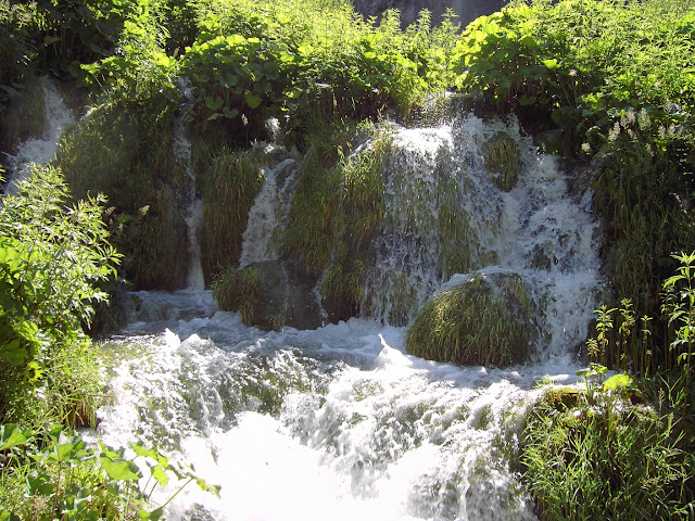 PICT2566.JPG