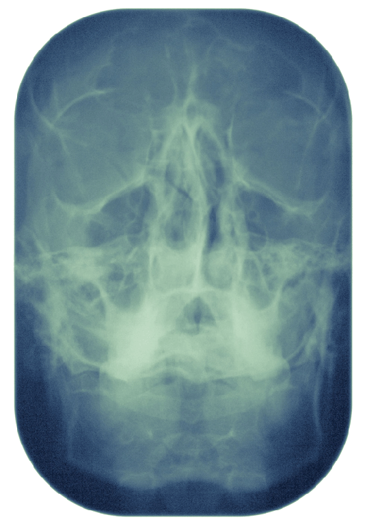 [FJGC_Despertar[3].gif]