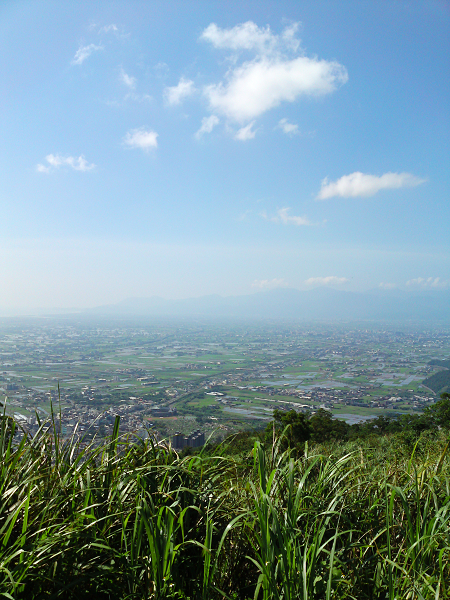 青春嶺