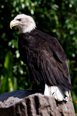 [DSC_3584 copy[6].jpg]