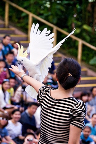[DSC_3759-copy4.jpg]