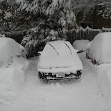 You can see how much snow I moved digging out Kelly's car.  See the other cars for comparison.