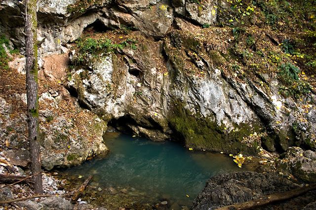 Wywierzysko Galbenei