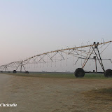 ICRISAT