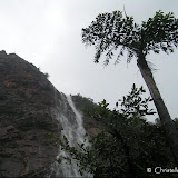 Jog Falls