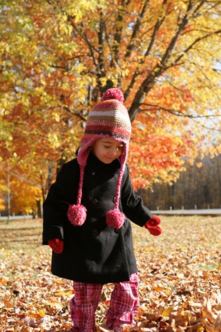 [DSC06271-2[4].jpg]