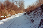 Frog Alley