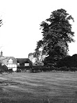 Owlscote Manor Farm, lime tree. Seen from what is now Manor Lawns.
