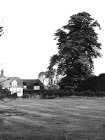 Owlscote Manor Farm, lime tree. Seen from what is now Manor Lawns.