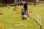 Setting up the course