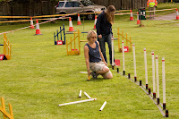 Setting up the course