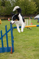 High jump