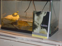 Hidden In The Wild 005