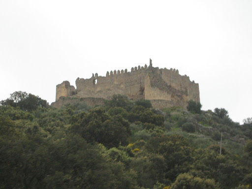 coria