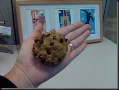 muffins