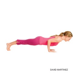 [HP_209_Chaturanga_248[3].jpg]