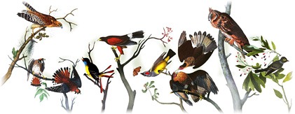 [226th Birthday Of John James Audubon[12].jpg]