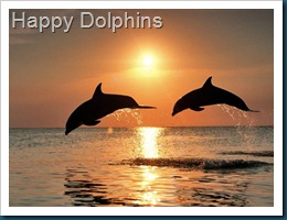 Happy Dolphins