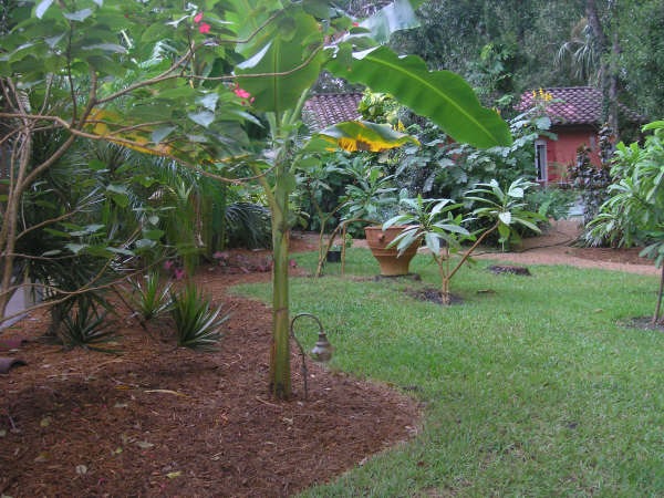 [back_yard[3].jpg]