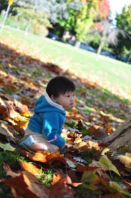 DSC_0587.JPG DSC_0587.JPG