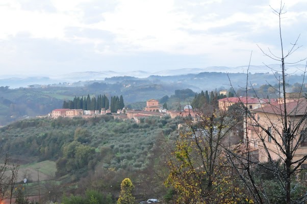 DSC_0241.JPG