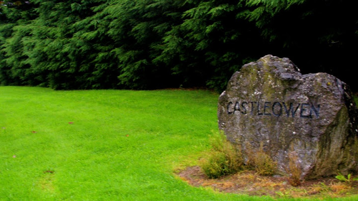 Immediately north of Blarney proper - Castleowen
