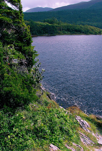 Killarney National Park