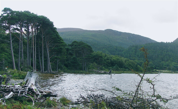 Killarney National Park