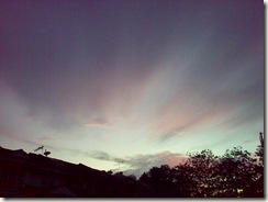 22032010169