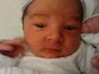 2009-11-05 07.14.34.jpg