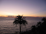 IMG_1408.JPG