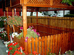 Medion   DIGITAL CAMERA
