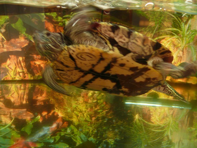 [P1200774[2].jpg]