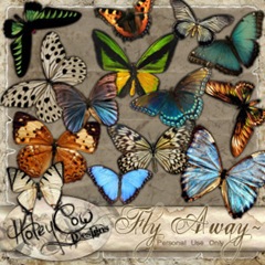 HOLEYC~14