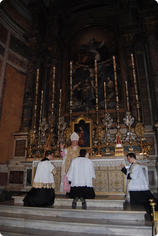 Bartolucci vii