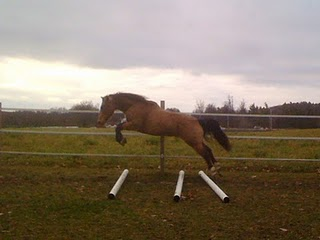 [trotpolejump2[2].png]