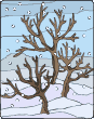 snow