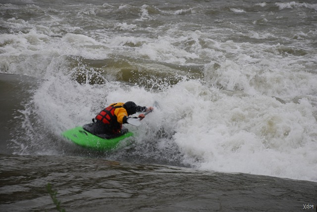 [DSC_0734[7].jpg]