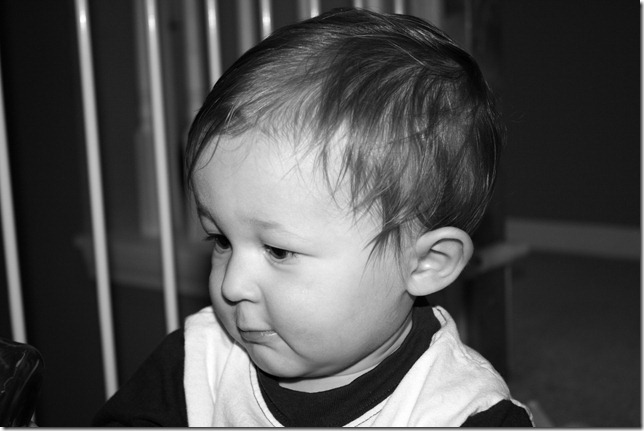 IMG_3895bw IMG_3895bw