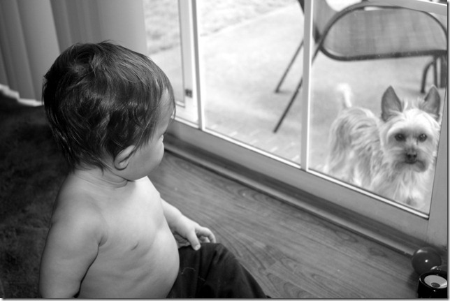 IMG_3928bw IMG_3928bw