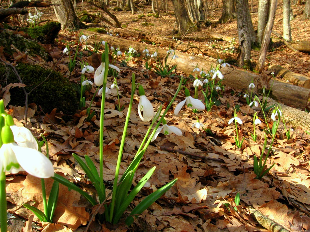 [IMG_69574.jpg]