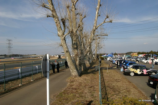 IMG_5135.JPG