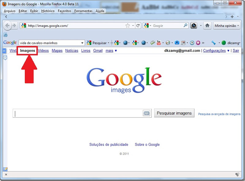 GoogleImagens