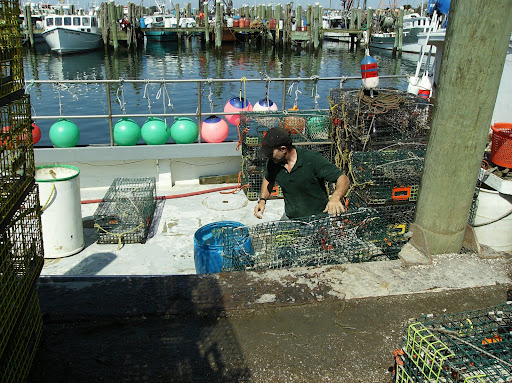 lobster traps
