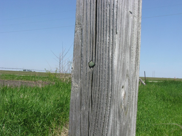 [GeoCache 005[2].jpg]