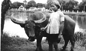 http://lh4.ggpht.com/_ITNhx4_mylE/TARaFvq51cI/AAAAAAAAA4I/fVaeeF62Zew/s640/Cochinchine1-1949.jpg