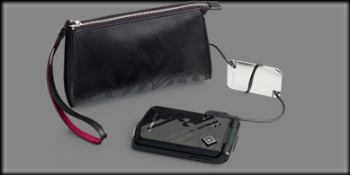 IDC-24 Case
