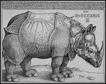 Durero Rinoceronte 1515 Durero Rinoceronte 1515