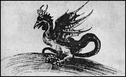Durero Dragon 1512